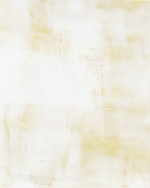 Star-Tech painting and decorative finishes