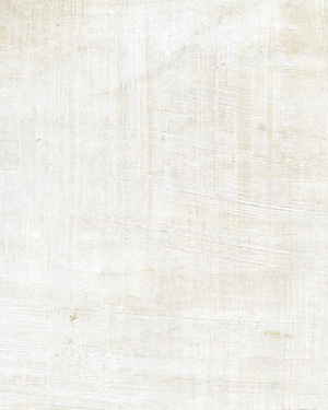 painting and decorative finishes