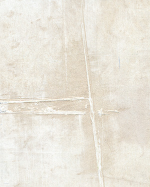 painting and decorative finishes