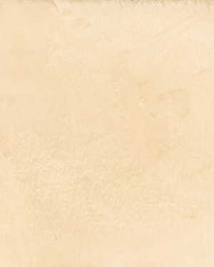 painting and decorative finishes