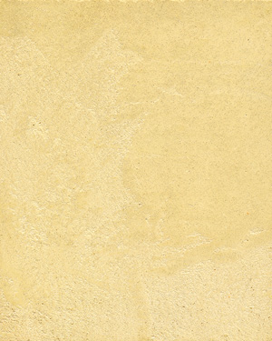 painting and decorative finishes