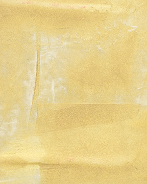 painting and decorative finishes