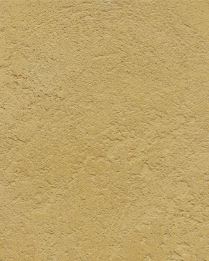 painting and decorative finishes