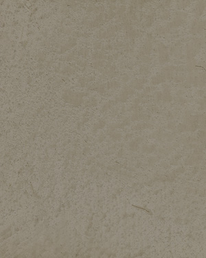 painting and decorative finishes