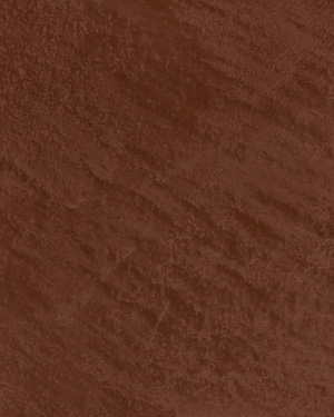 painting and decorative finishes