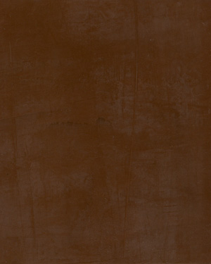 painting and decorative finishes